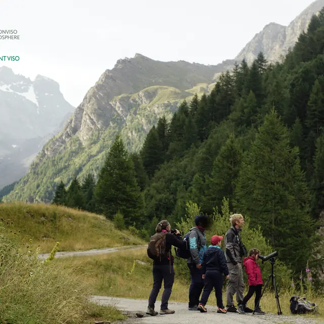La Réserve de Ristolas - Mont Viso au petit jour_Abriès-Ristolas