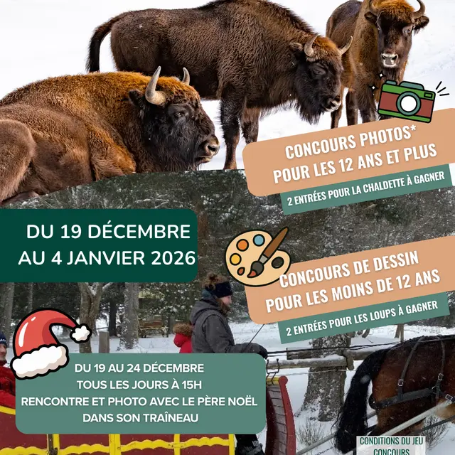 Réserve des Bisons d'Europe_Sainte-Eulalie