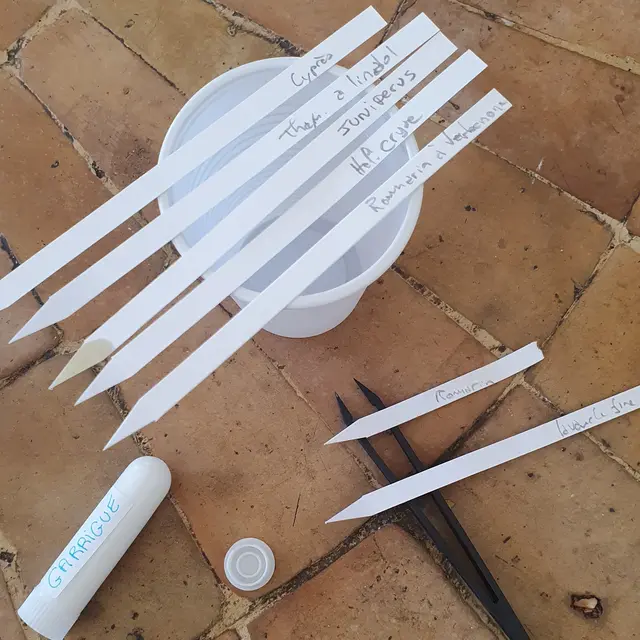 Bien-être Olfactif - Rencontres Parfumées_Istres