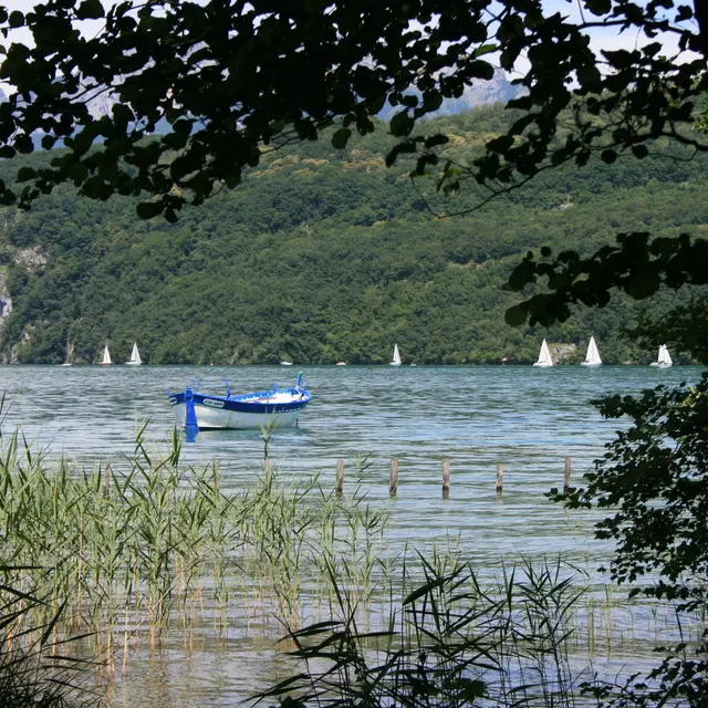 Sentier de découvertes Les Roselières