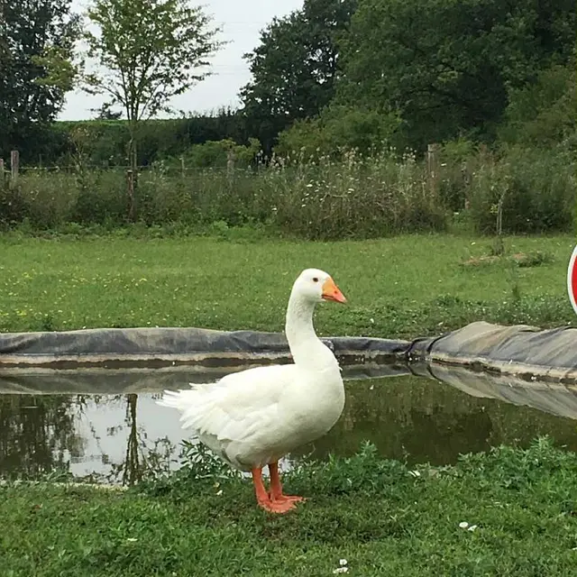 Ferme de Hustet