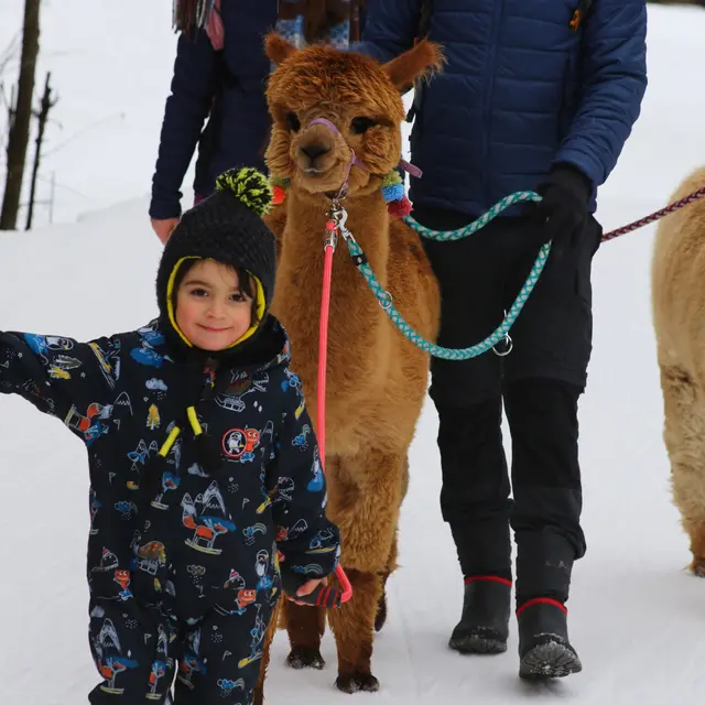 ALP'AGAGA, les excursions gagas de nature, d'animaux et de découvertes_Vallouise-Pelvoux