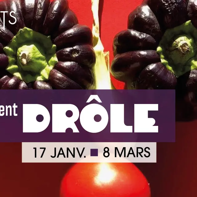 Exposition collective sur l’art et l’humour : Sérieusement drôle_Fillière