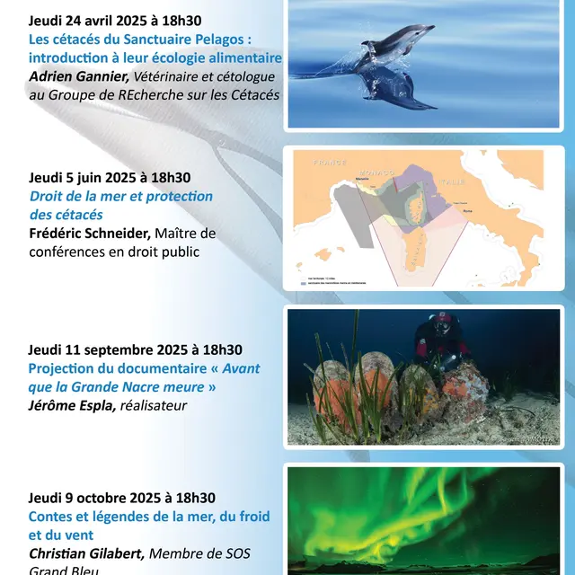 Conférence SOS Grand Bleu 