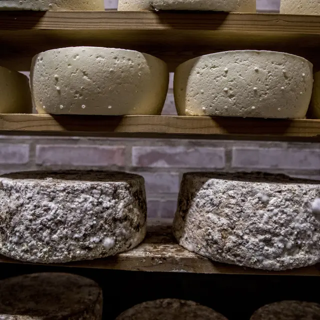 Marché de la Grave_La Grave