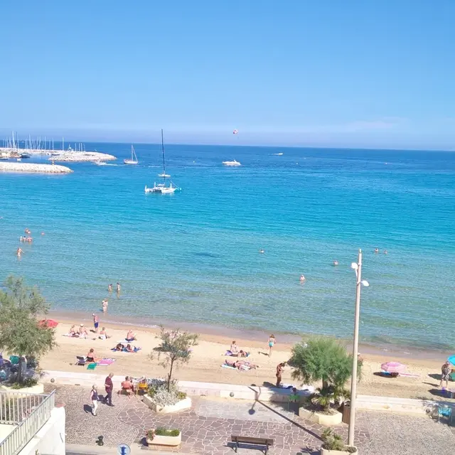 Chevalier Jacqueline - T3_Le Lavandou