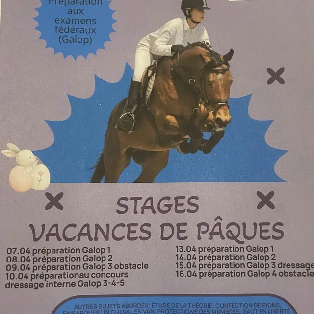 Stages vacances de Pâques de préparation aux examens fédéraux - centre équestre Terre et Ciel_Contrevoz