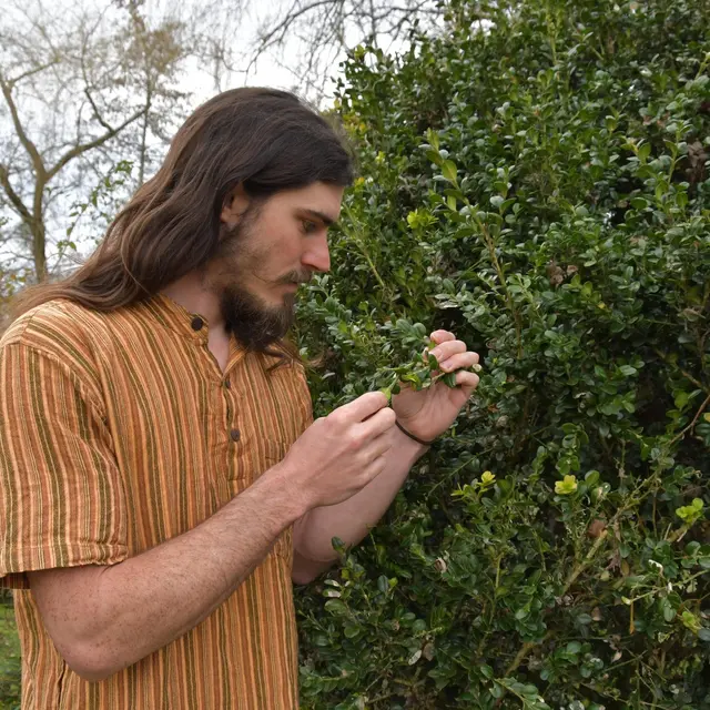 Atelier cueillette et cuisine sauvage : une journée nature et gourmande_Arcon