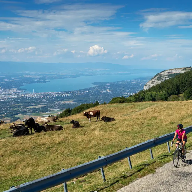 Cyclo Salève