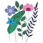 Secrets de sorcières_Mazet-Saint-Voy