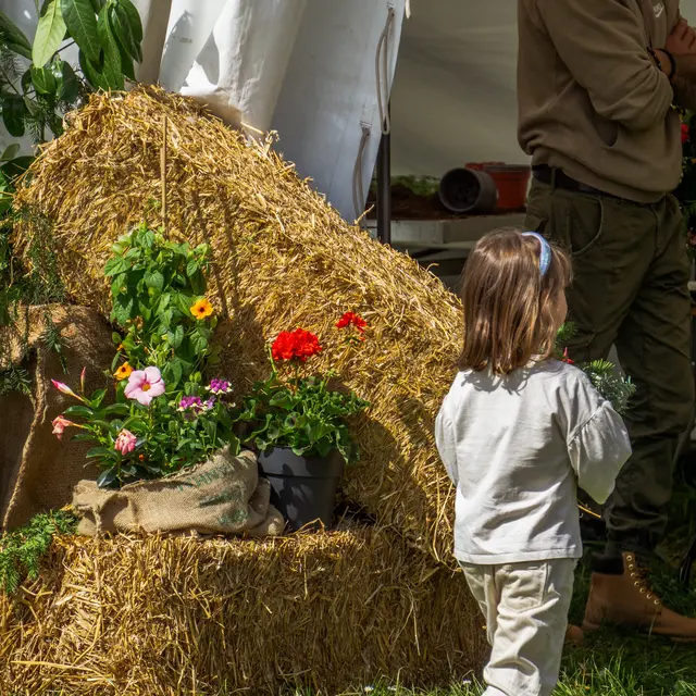 Folie(s) Végétales 2026 - Découverte de la laine, du cardage & du feutrage_Thonon-les-Bains