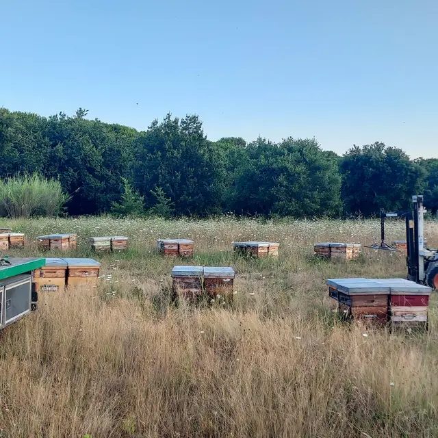 Maison Maisonnasse_Noves