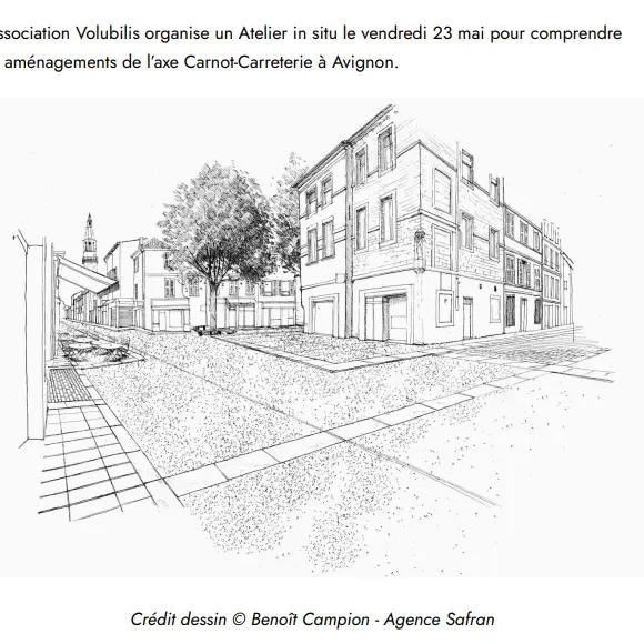 Atelier in situ - Aménagements de l'axe Carnot-Carreterie