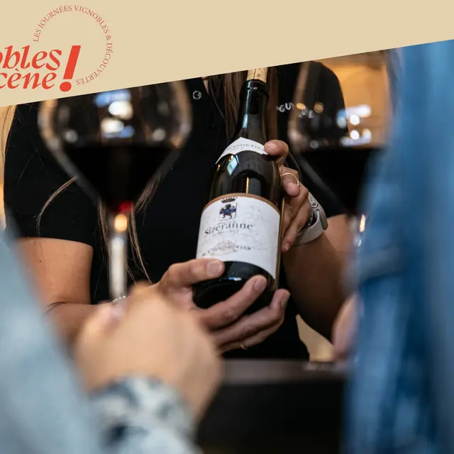 Visite de nos vignes et dégustation en accords mets et vins - Maison M. CHAPOUTIER_Tain-l'Hermitage