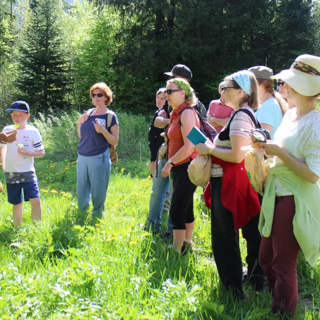 Sortie découverte des plantes de montagne_Abondance