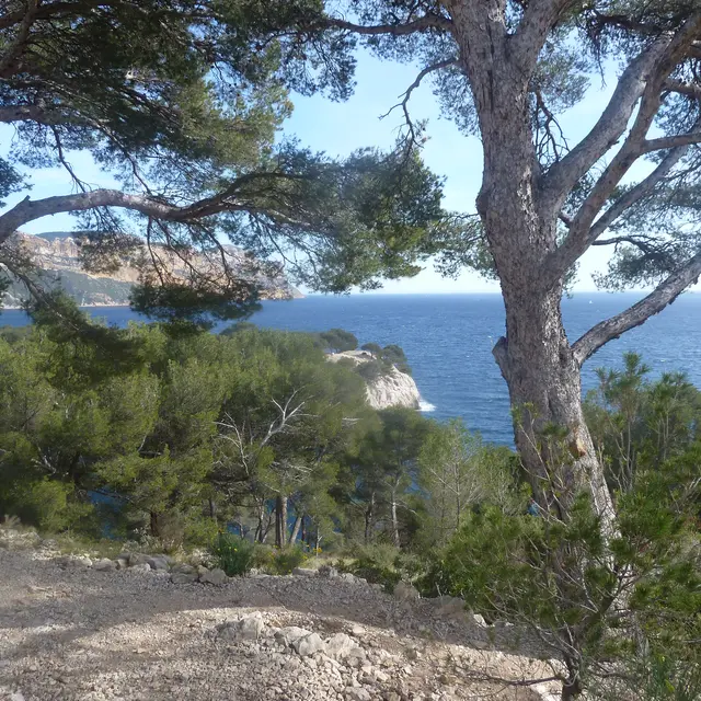 Massif des calanques Marseille