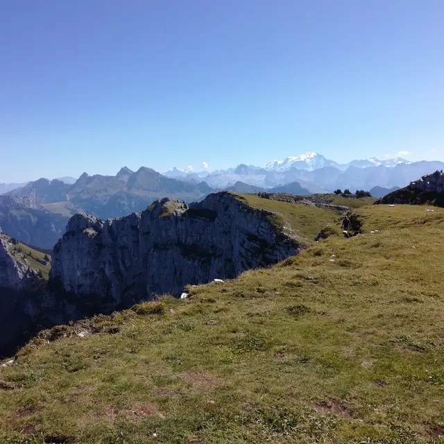 Plateau