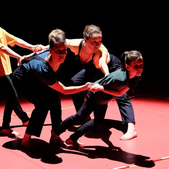 Le labyrinthe de l'oie_Marseille