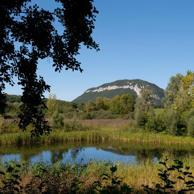 marais Poisy