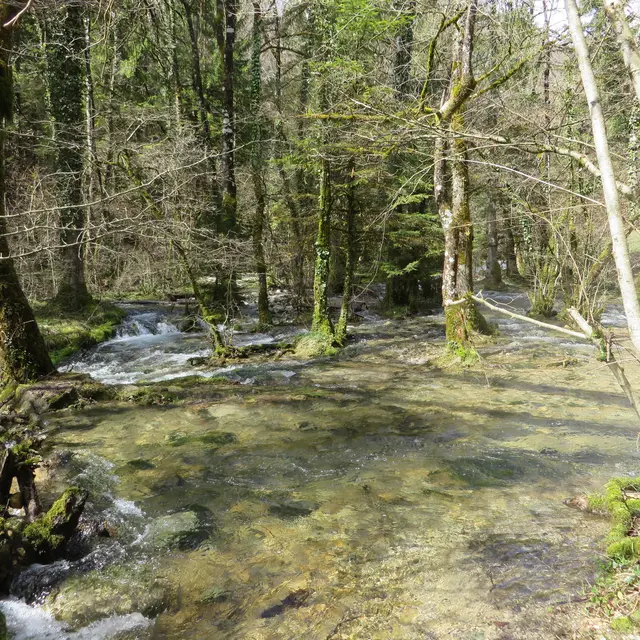 Animation nature: le grand cycle de l'eau_Gex