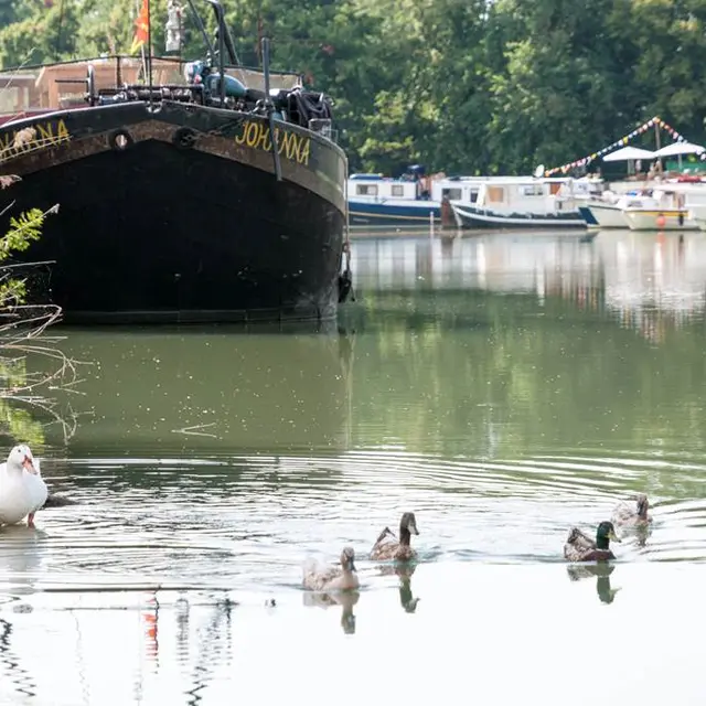 Pêcher dans le canal, Montauban, Tarn-et-Garonne, Nature