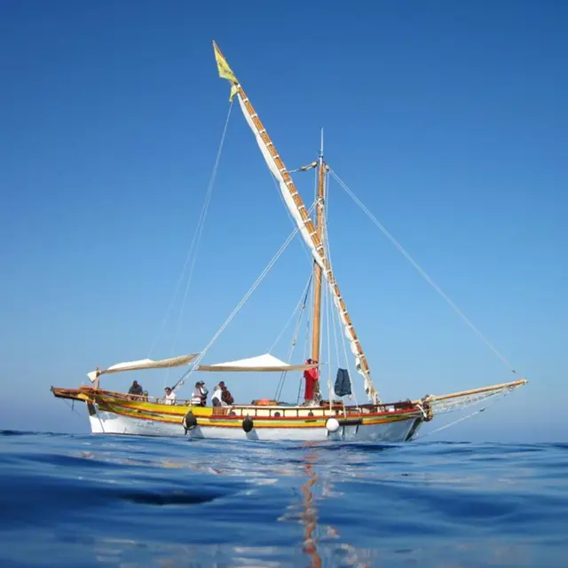 Observation en voilier - Découverte des cétacés de Méditerranée_Menton