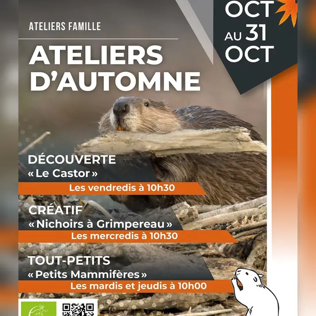 Ateliers d'Automne au Naturoptère_Sérignan-du-Comtat