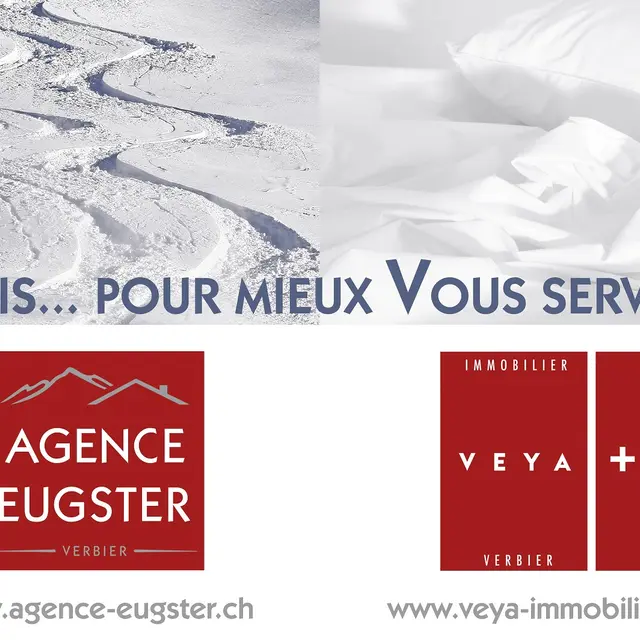 Veya Immobilier