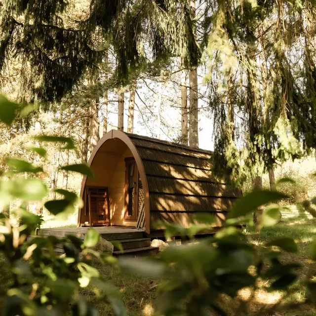 Les Pods des Géorennes_Champfromier