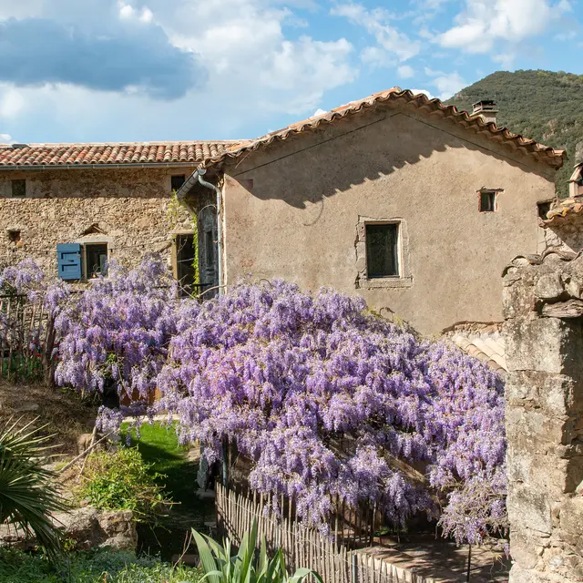 gîte le cambon mialet