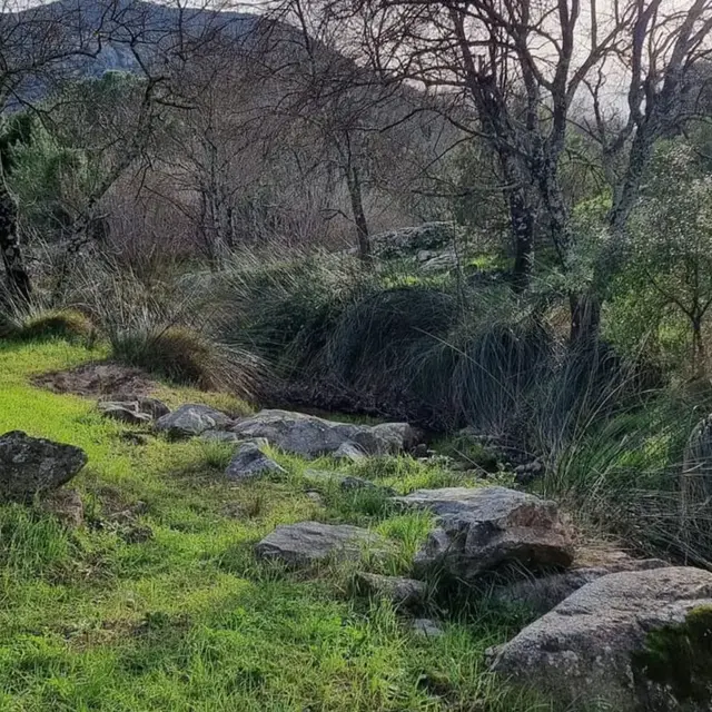 Promenade-découverte : chemins de nature – olivier, qui es-tu ?_Sainte-Maxime
