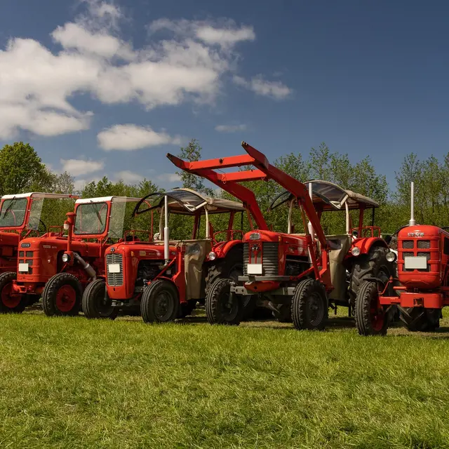 Fête du chou_Usson-en-Forez