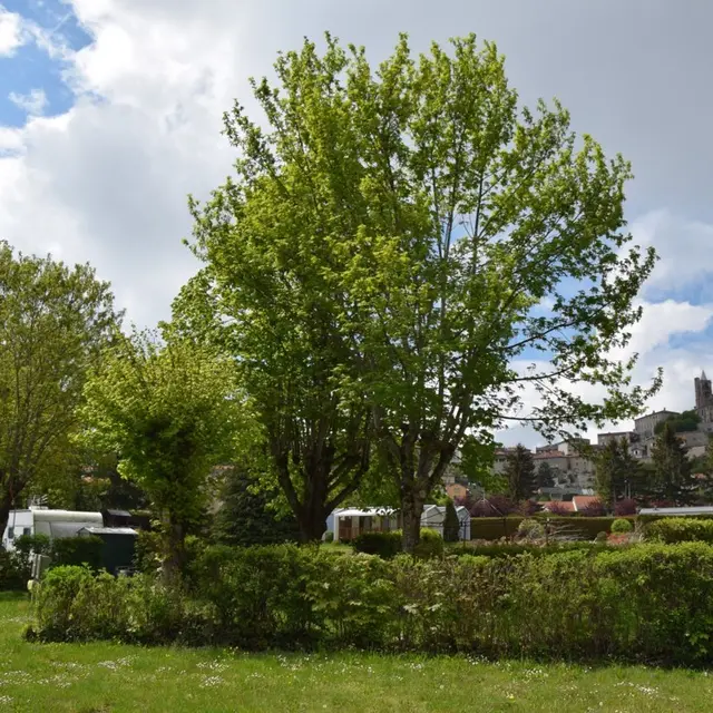 Camping de la belle Etoile