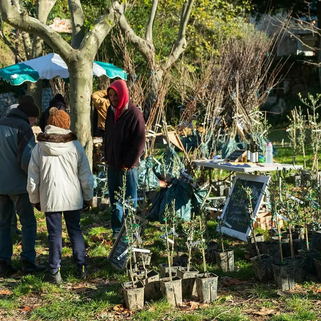 Journée des pépiniéristes