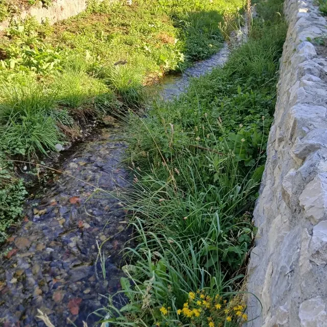 Visite du musée du textile et du peigne en corne
