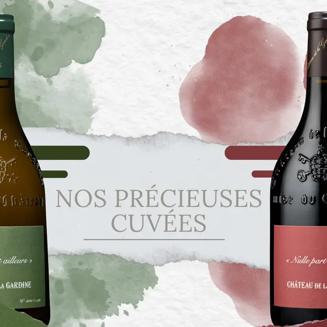 Journée dégustation - Nos précieuses cuvées_Châteauneuf-du-Pape