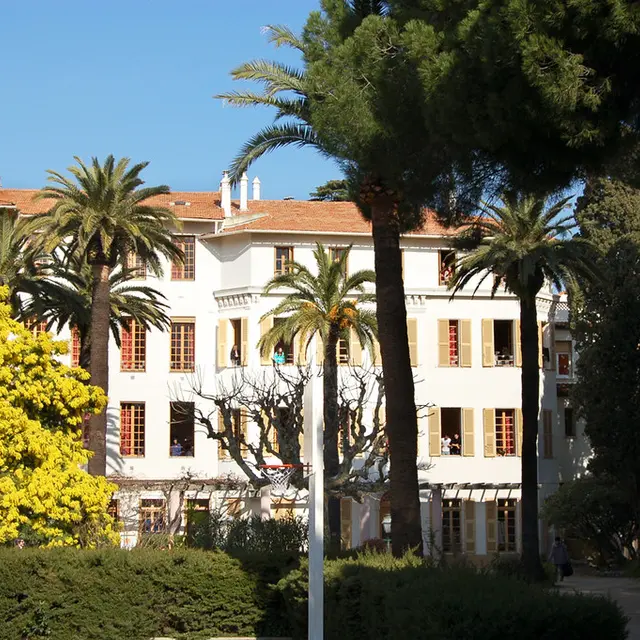 Campus international