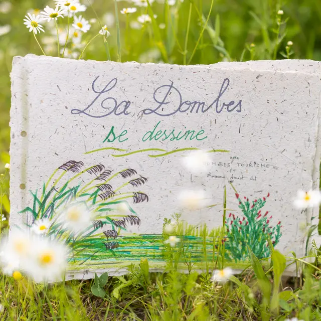 La Dombes se dessine à Prêle_Valeins