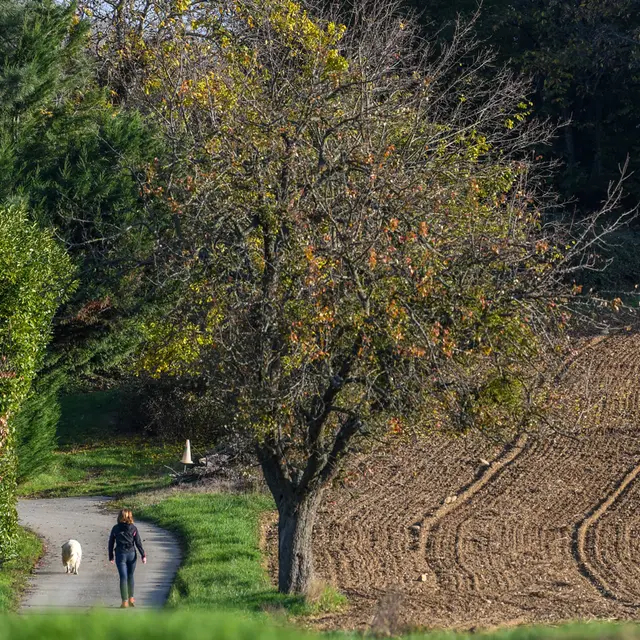 Marche sur les chemins de l'eau
