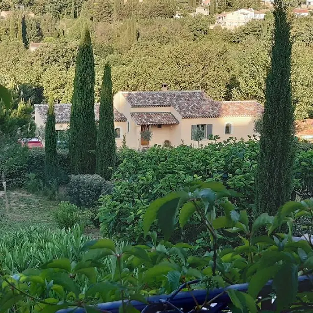 La CotiYan - Cotignac