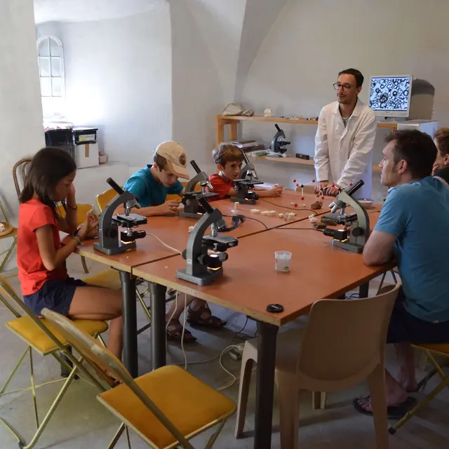 Atelier Fabrique tes cristaux