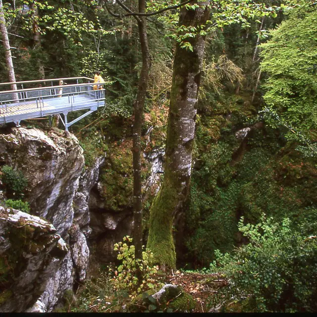 Le gouffre des corbeaux