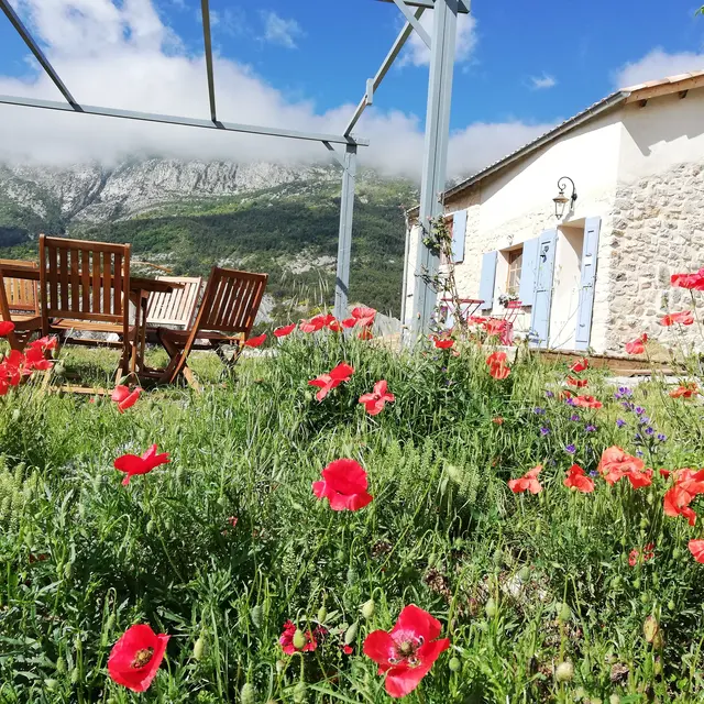 Gaïa maison d'hôtes Verdon