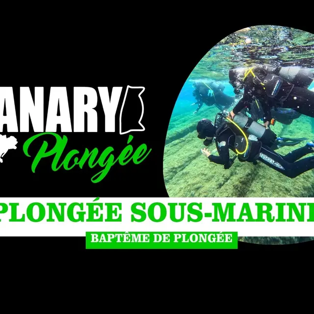 Sanary Plongée : Baptême (Découverte)_Sanary-sur-Mer