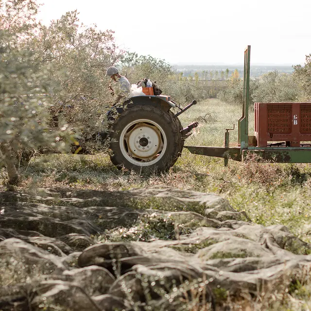 Domaine Jòlibois_Aureille