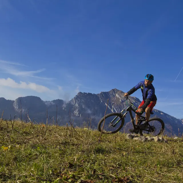 VTT