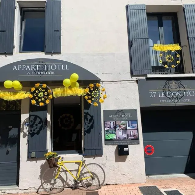 Romance - Appart'Hôtel 27 le Lion d'Or à Malaucène