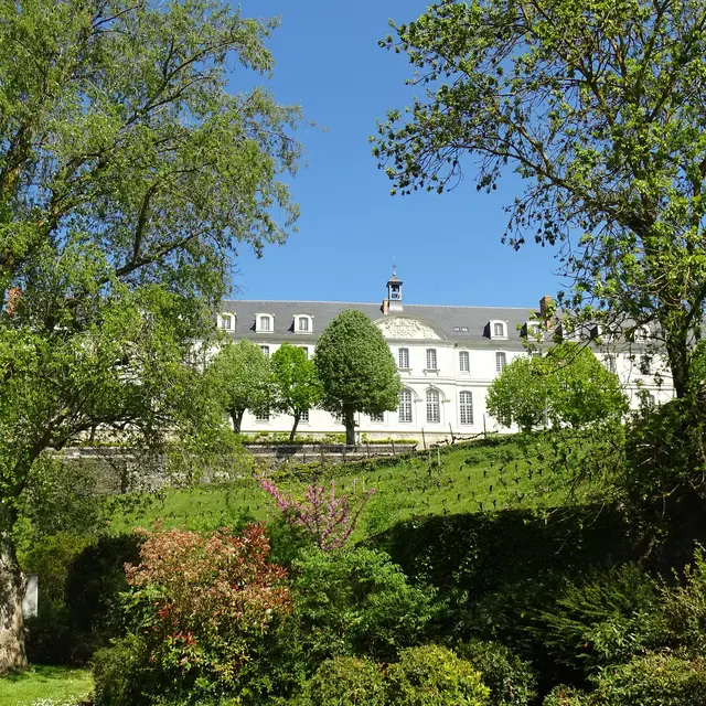 Angers, côté vigne: visite insolite à l'Abbaye Saint-Nicolas_Angers