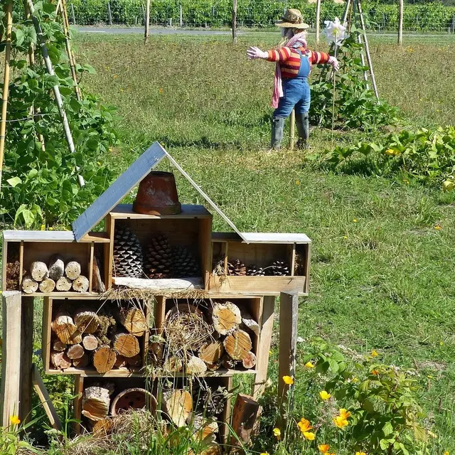 Fabrication d'hôtel à insectes et découverte_Bauduen
