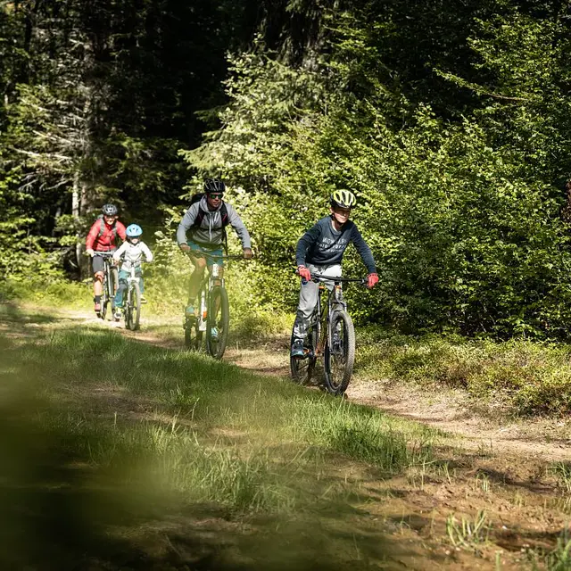 Piste bleue VTC - La Cavale - au départ de La Féclaz_La Féclaz